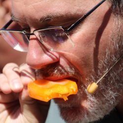 632326746_1206089598303783_7739143243554840159_n